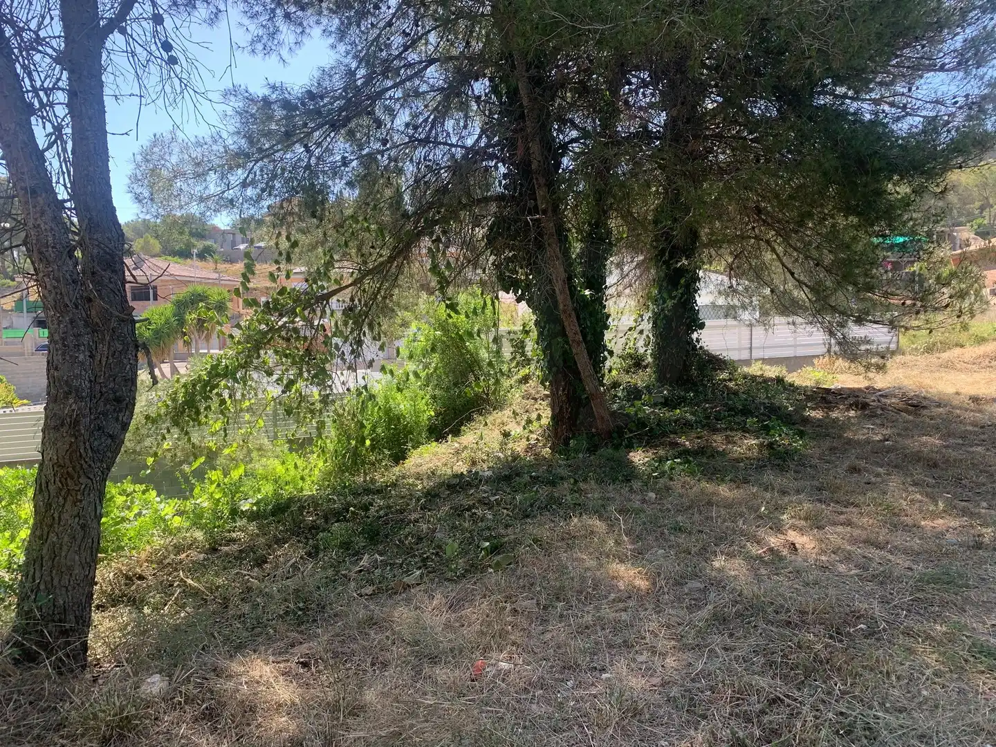 Terreny residencial en venda a Canyelles, imagen 12