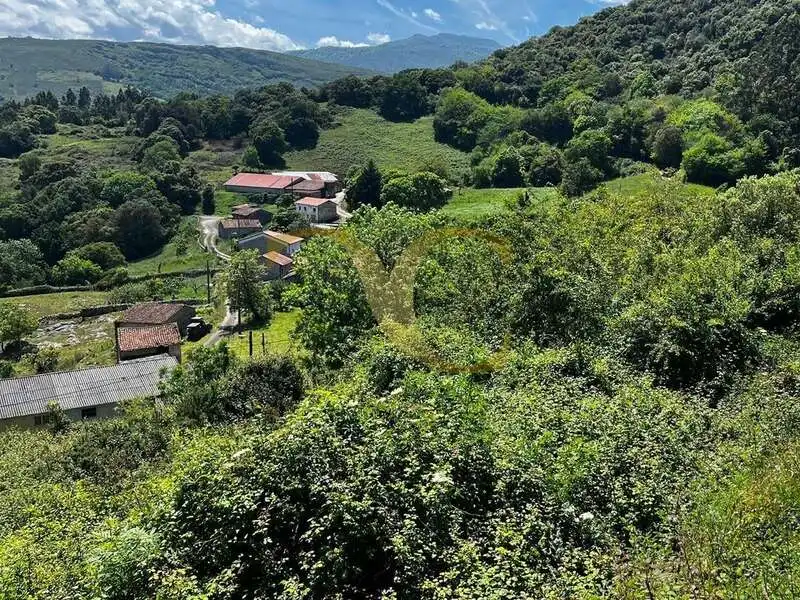 Terreny rústic en venda a Andinas, imagen 13