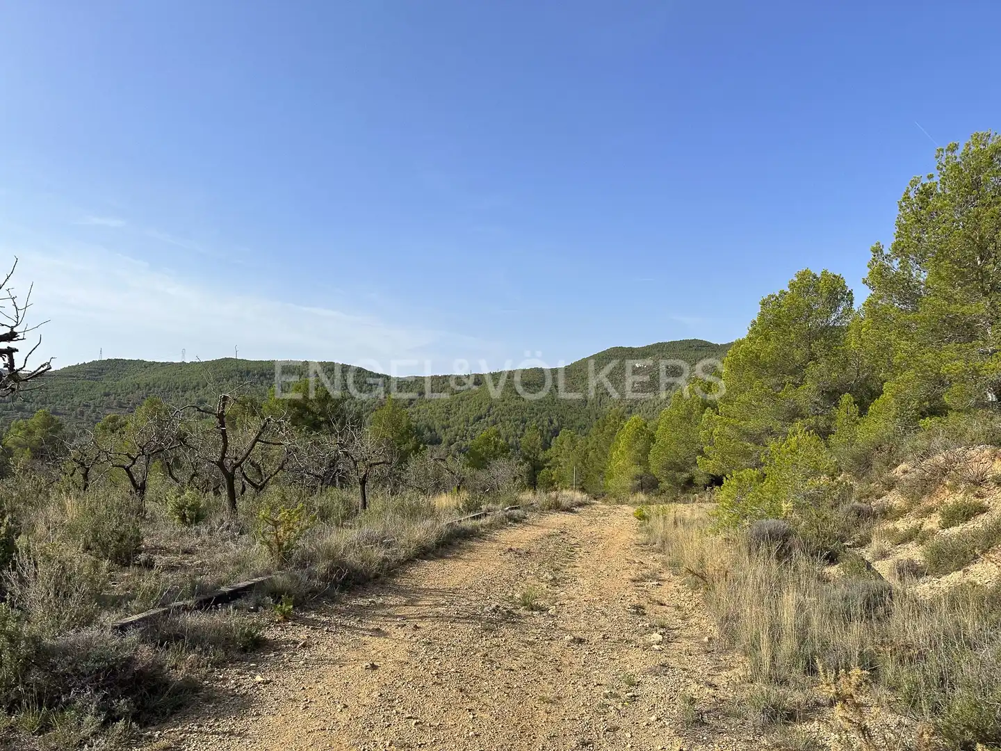 Residential land for sale in Torrelles de Foix, imagen 40
