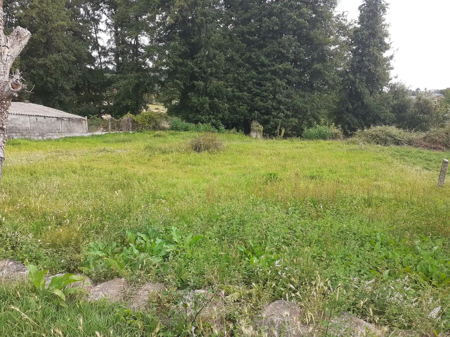 Terreno residencial en venta en Barbadás, imagen 3