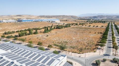 Photo 3 of Industrial land for sale in Avenida Entrecaminos, 29, Escúzar, Granada