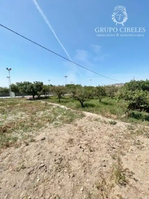 Finca rústica en venta en Pechina