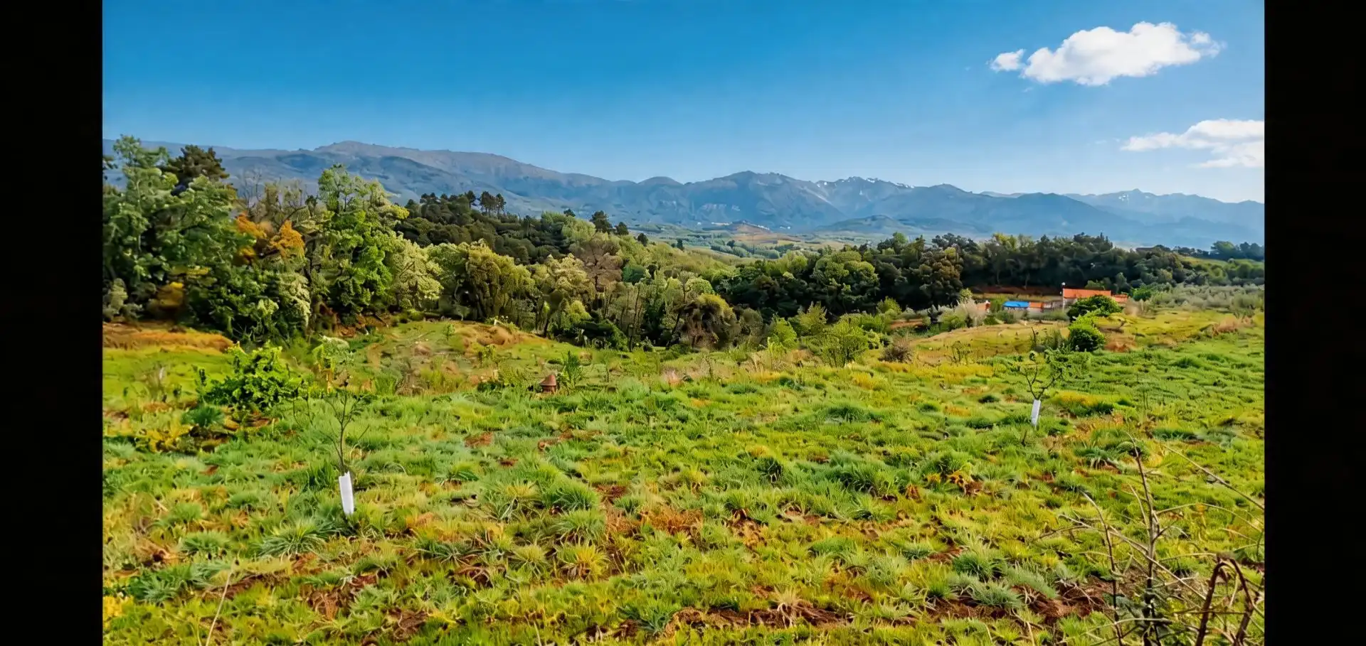 Terreno en venta en Jaraíz de la Vera