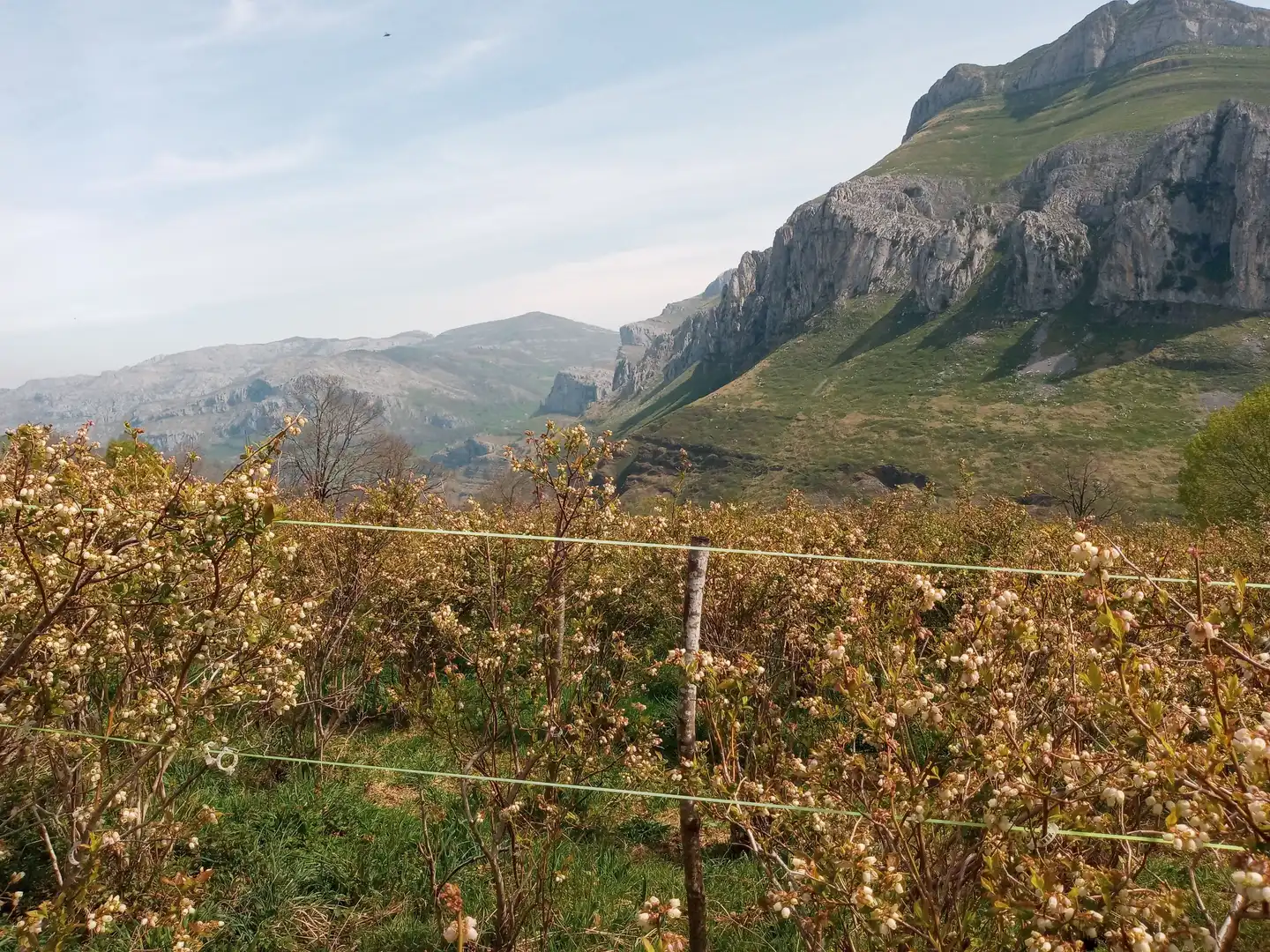 Vista exterior de Finca rústica en venta en San Roque de Riomiera con Jardín privado