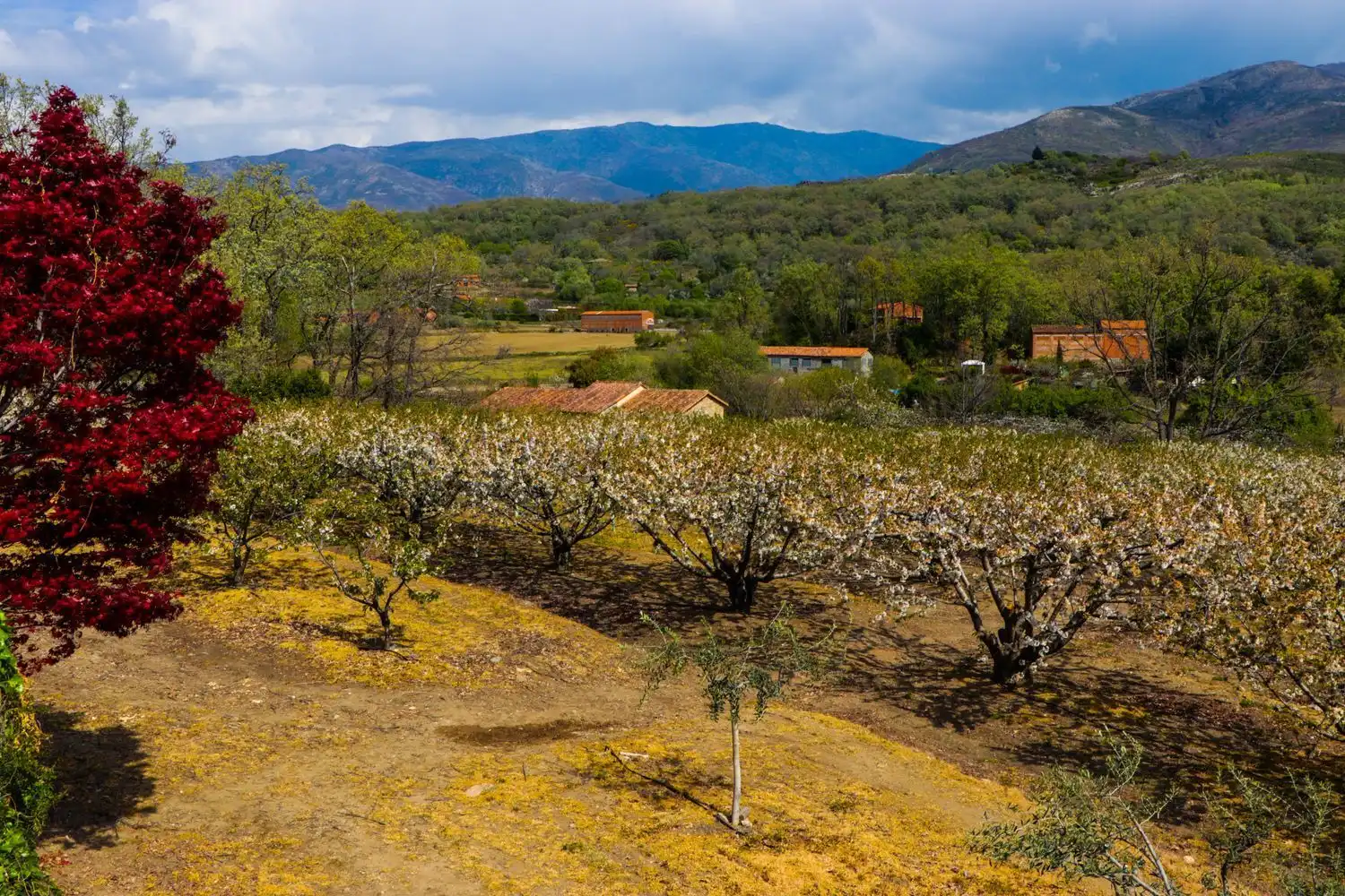Finca rústica en venda en Jarandilla de la Vera amb Aire condicionat, Calefacció i Jardí privat