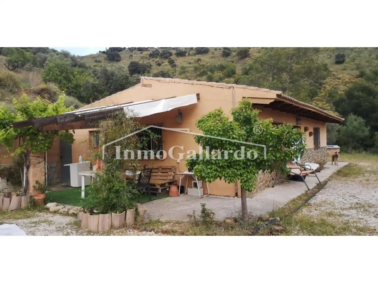 Vista exterior de Finca rústica en venda en Málaga
