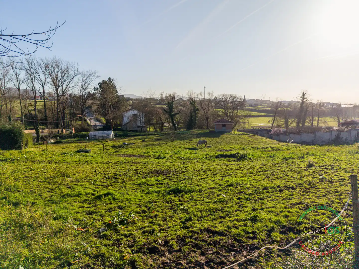 Terrain rustique à vendre à CL SEVILLANA 0, imagen 4