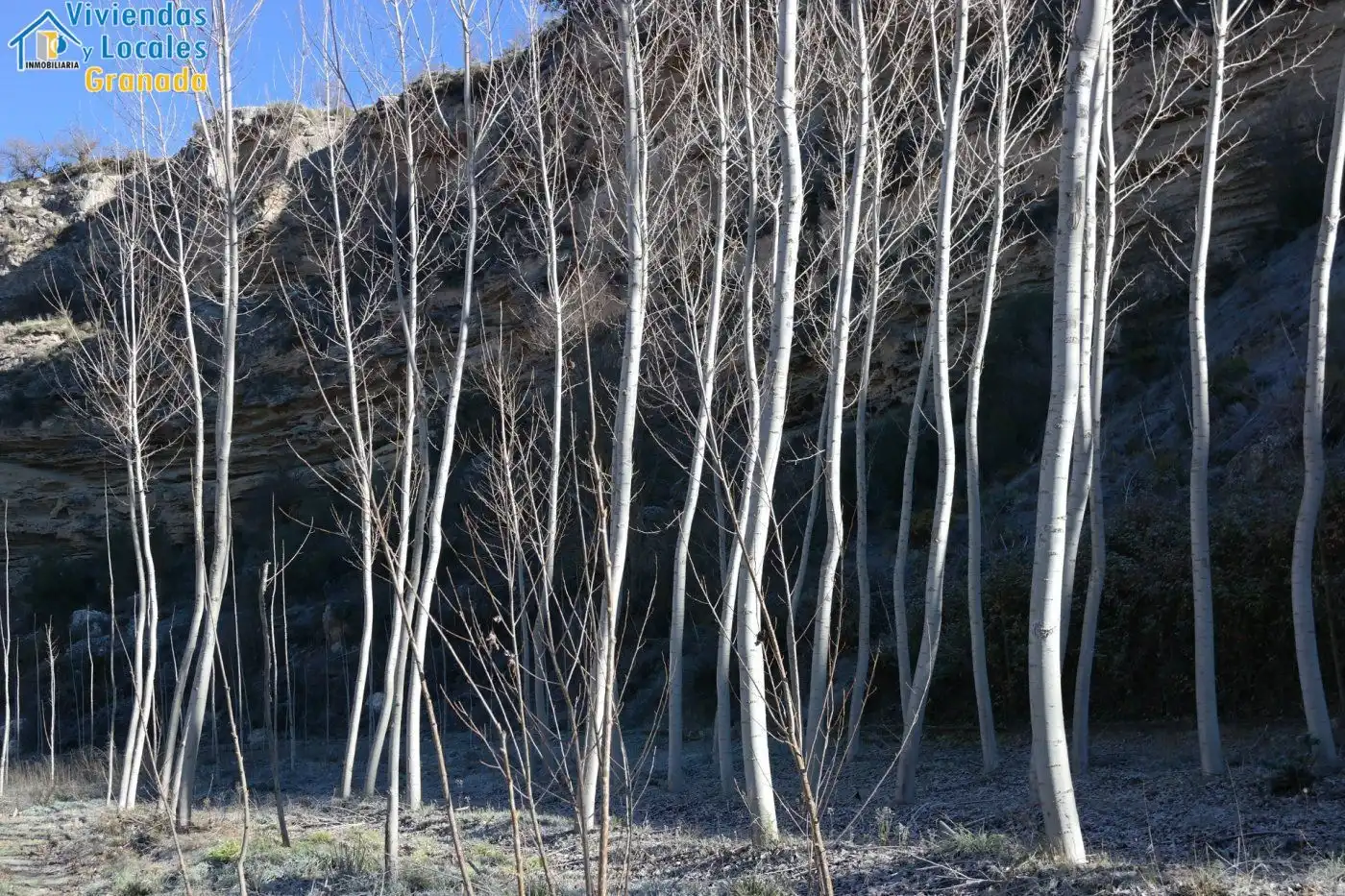 Terreni e lotti in vendita a Alhama de Granada, imagen 7