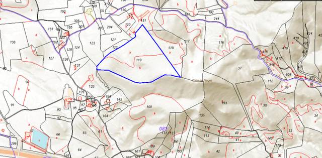 Terreno en Venta en PARAJE LOS PUERTOS Nº 119 en Los Puertos