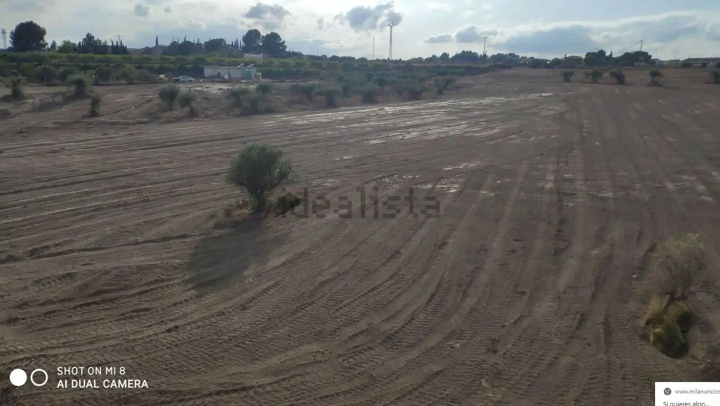 Terreno rústico en venta en Fortuna, imagen 10