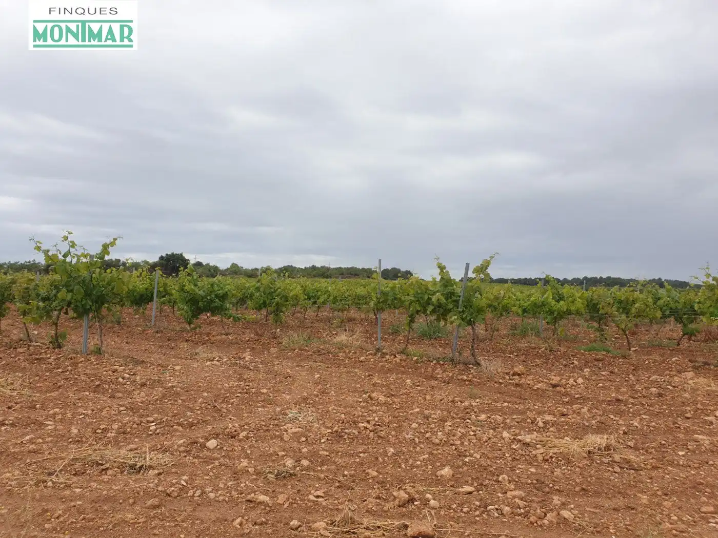 Finca rústica en venda en El Pla de Santa Maria