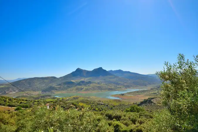 Vista exterior de Finca rústica en venta en Zahara con Aire acondicionado, Calefacción y Jardín privado