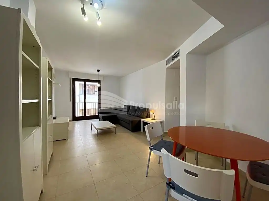 Sala d'estar de Apartament de lloguer en Zaragoza amb Calefacció, Moblat i Balcó