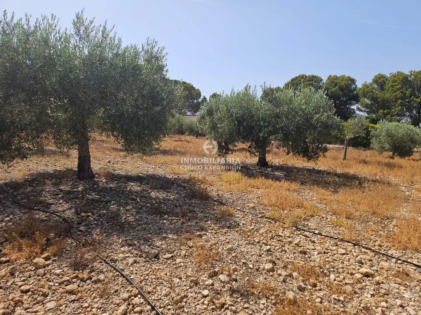 Casa o chalet en venta en Aspe
