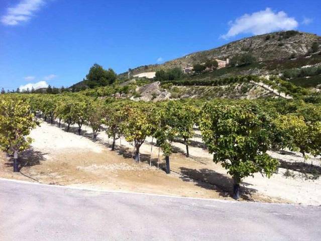 Terreno residencial en Venta en Beniel