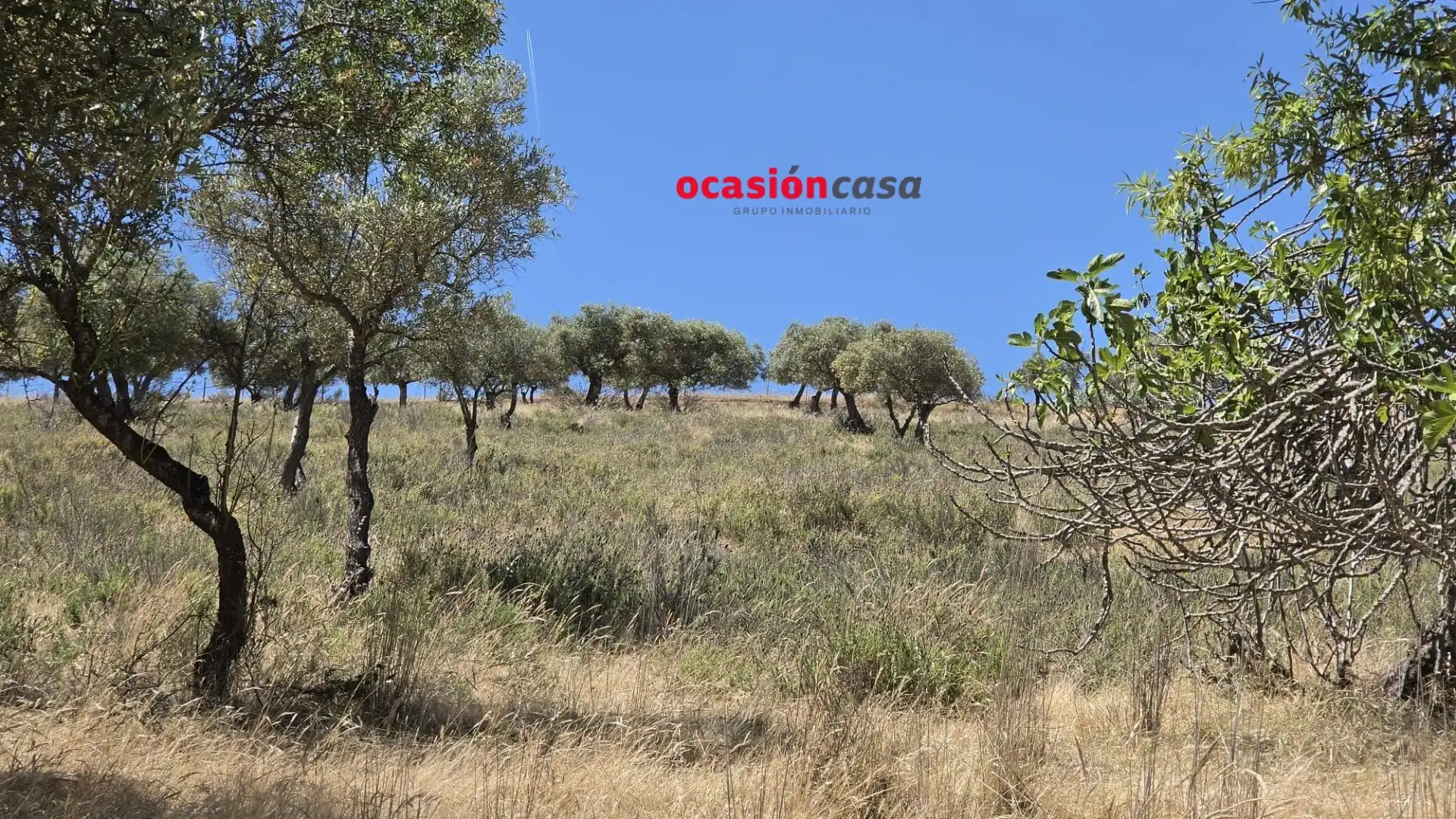 Terreno residenziale in vendita a Peñarroya-Pueblonuevo, imagen 8