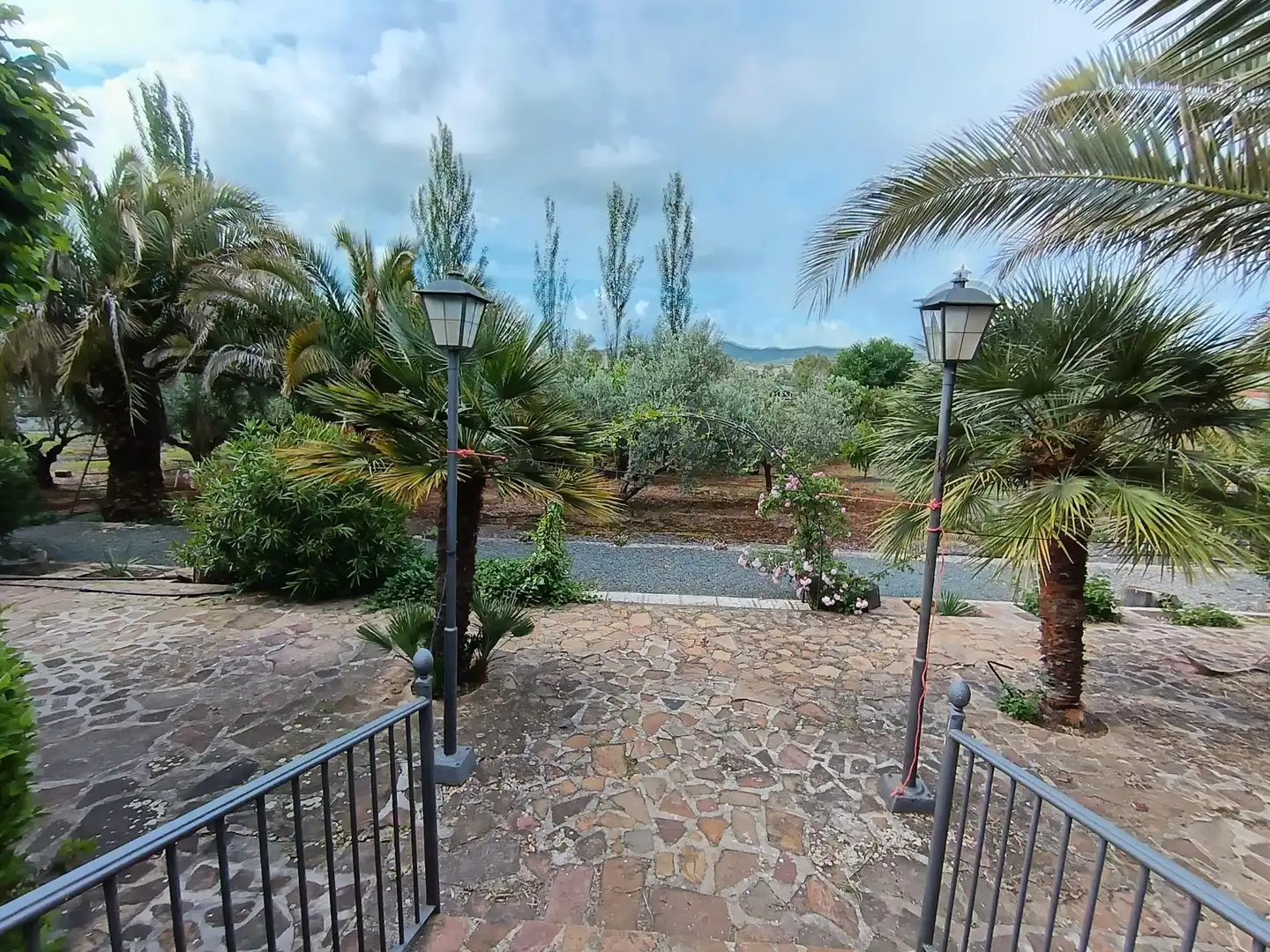 Vista exterior de Casa o chalet en venta en Brazatortas con Aire acondicionado, Calefacción y Jardín privado