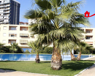 Swimming pool of Apartment for sale in La Pobla de Farnals  with Air Conditioner, Terrace and Furnished