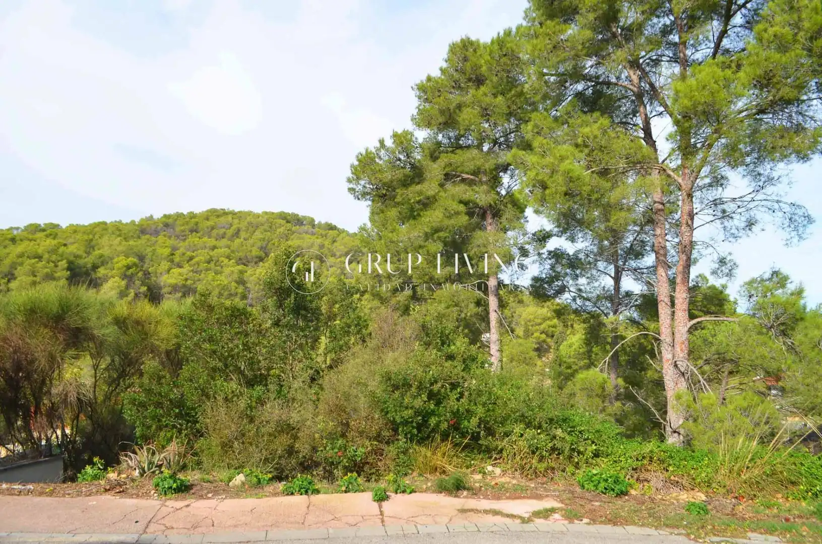 Terreny residencial en venda a Olivella, imagen 4
