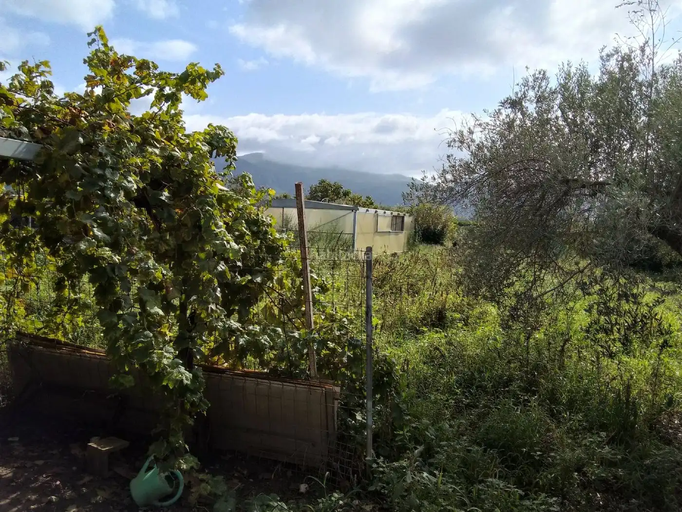 Villa zum Verkauf in Carrer Dénia 22, imagen 6