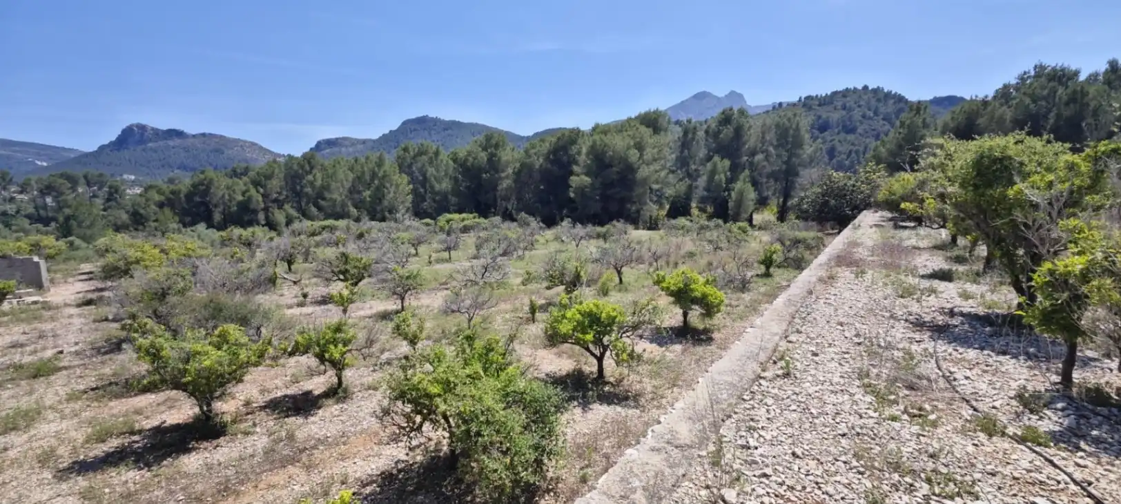 Residential land for sale in Tormos, imagen 23
