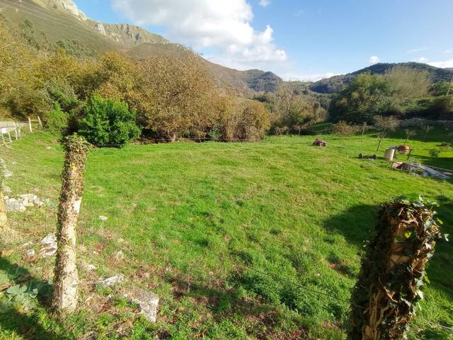 Terreno residencial en Venta en Peñamellera Alta - LA VUELTA AGUDA - LLONIN en Peñamellera Alta