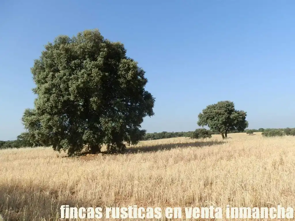 Terreno en venta en Alcaraz