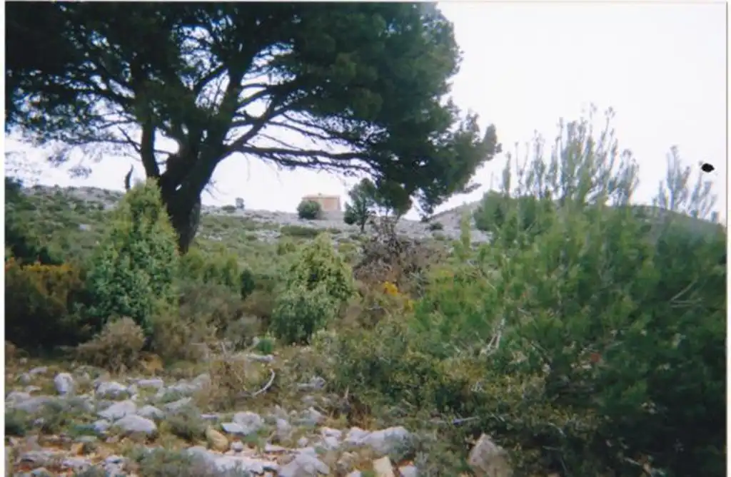 Casa o chalet en venta en N/A, -1, Llucena / Lucena del Cid