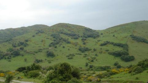 Foto 4 de Finca rústica en venta en Cañada de Matatoros, Tarifa ciudad, Tarifa