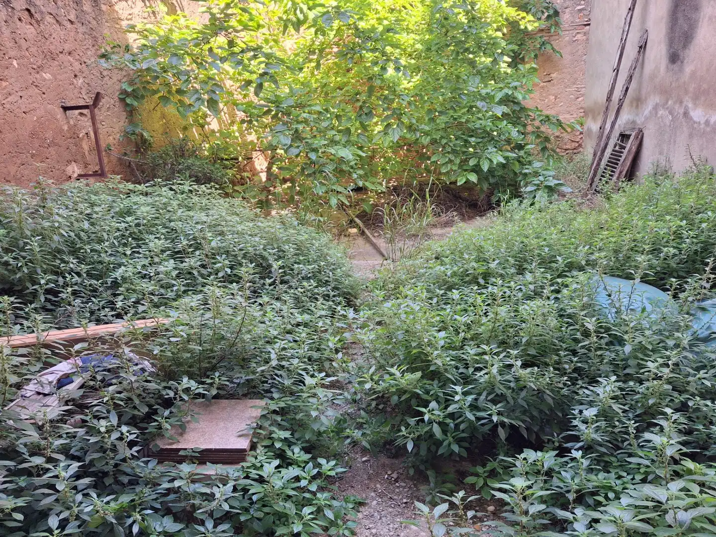 Garden of Houses for sale in Castellón de la Plana / Castelló de la Plana