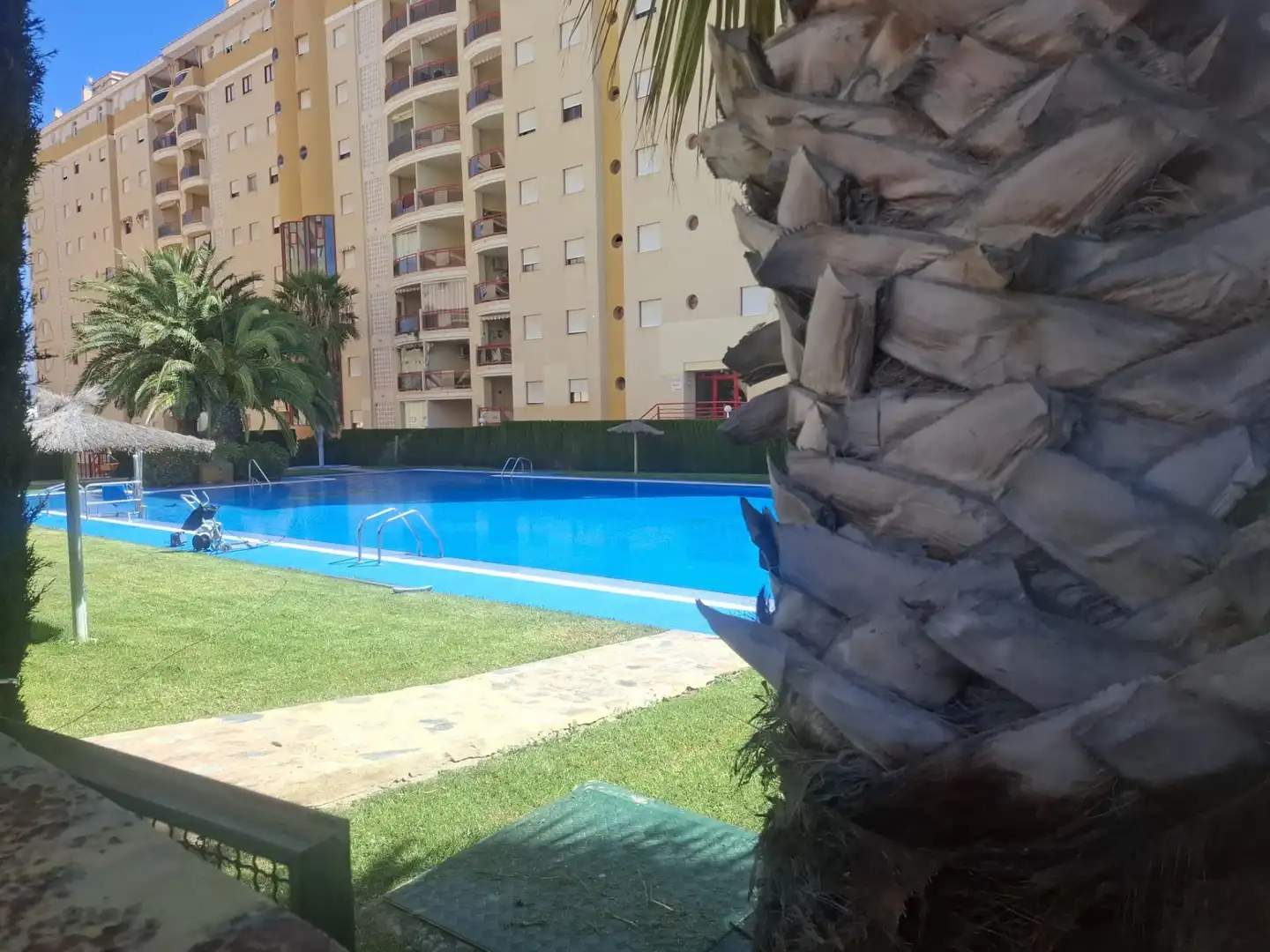 Piscina de Pis de lloguer en Villajoyosa / La Vila Joiosa amb Aire condicionat, Terrassa i Piscina comunitària