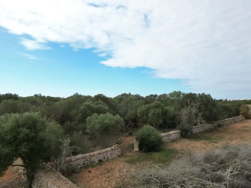 Terreno rustico in vendita a Llucmajor pueblo, imagen 10