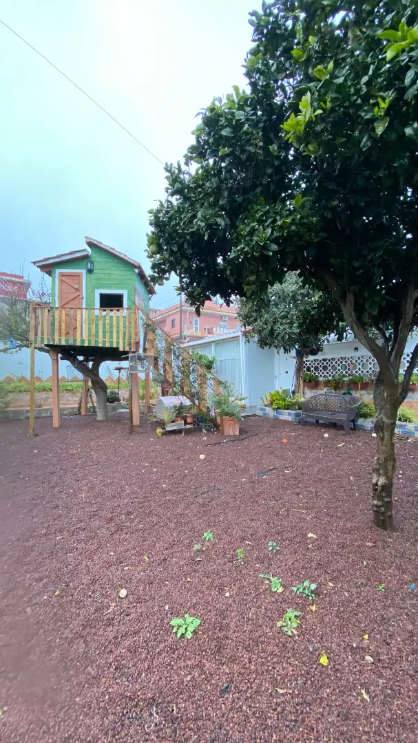 Vista exterior de Casa o chalet en venta en San Cristóbal de la Laguna con Jardín privado, Terraza y Trastero