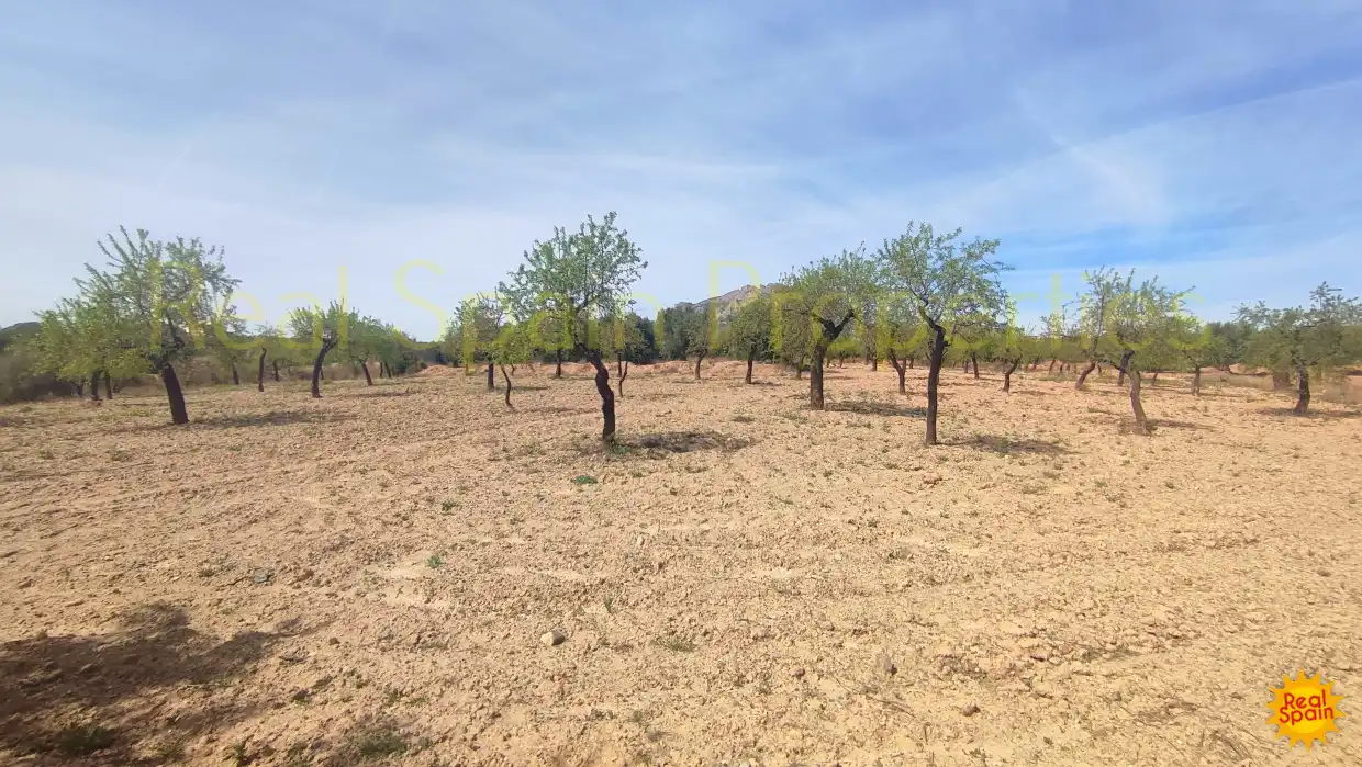 Residential land for sale in Vélez-Rubio, imagen 20