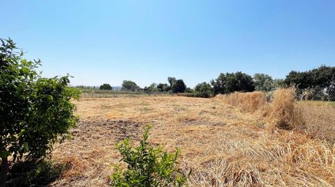 Photo 5 of Residential for sale in Calle del Camino del Río, 105, Villarrubia, Córdoba