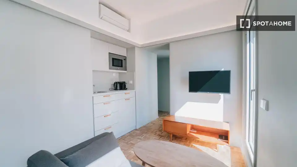 Living room of Flat for rent in Madrid  with Air Conditioner, Heating and Furnished