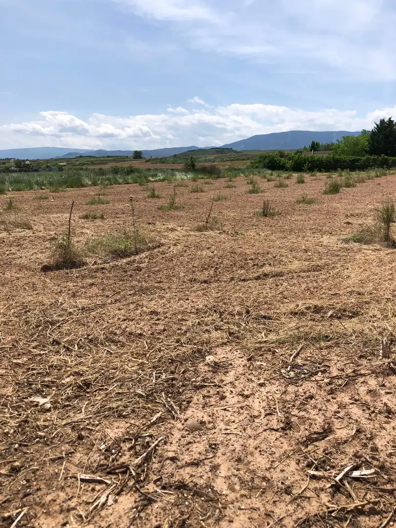 Terreny rústic en venda a Murillo de Río Leza, imagen 3