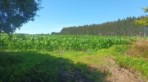 Foto 2 de Terreny en venda a Seselle, 15386, Oza dos Ríos, A Coruña