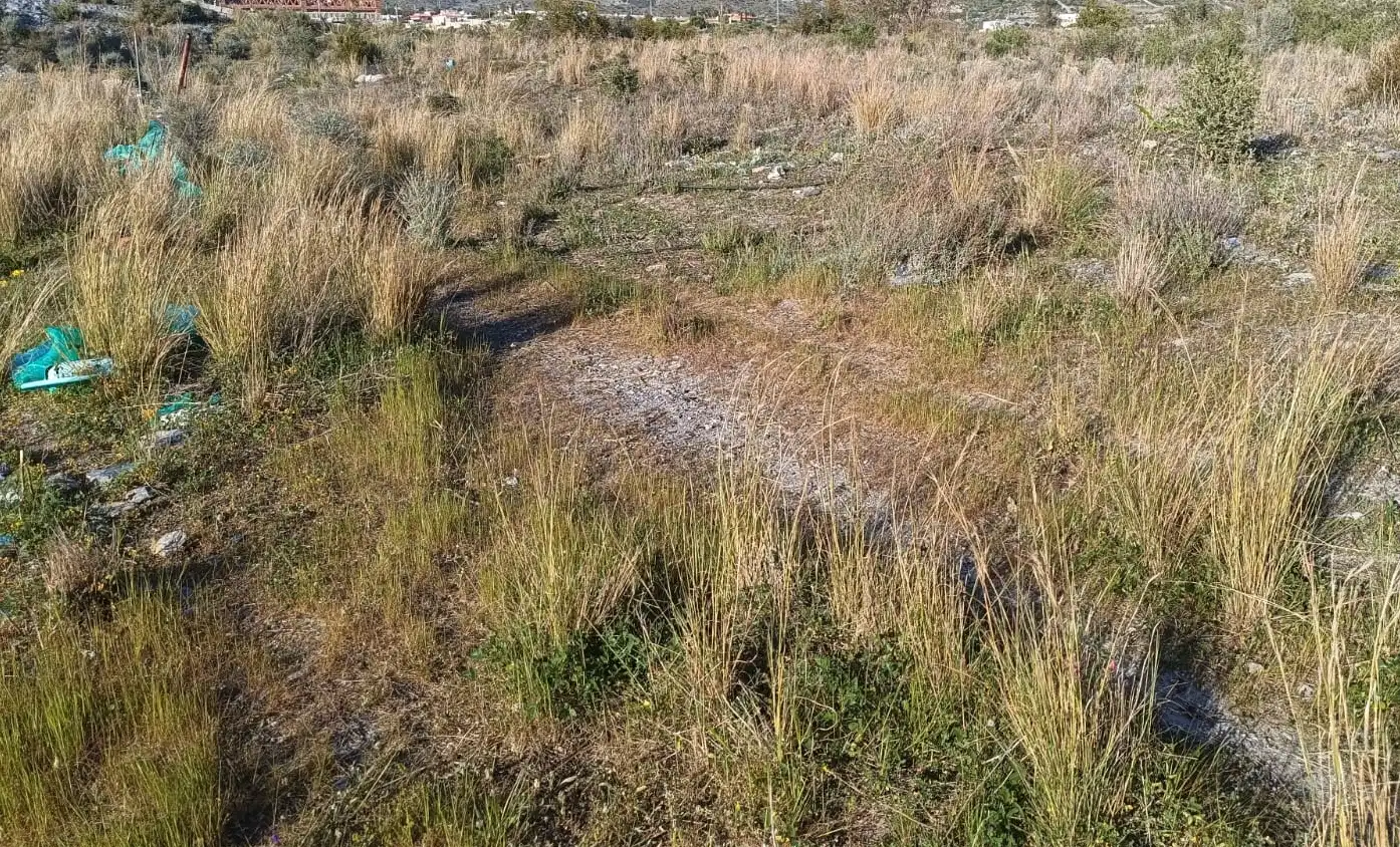 Terreno rústico en venta en Los Tablones - La Garnatilla, imagen 2