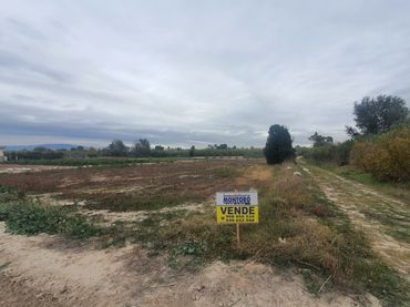 Terreno rustico in vendita a Ceutí
