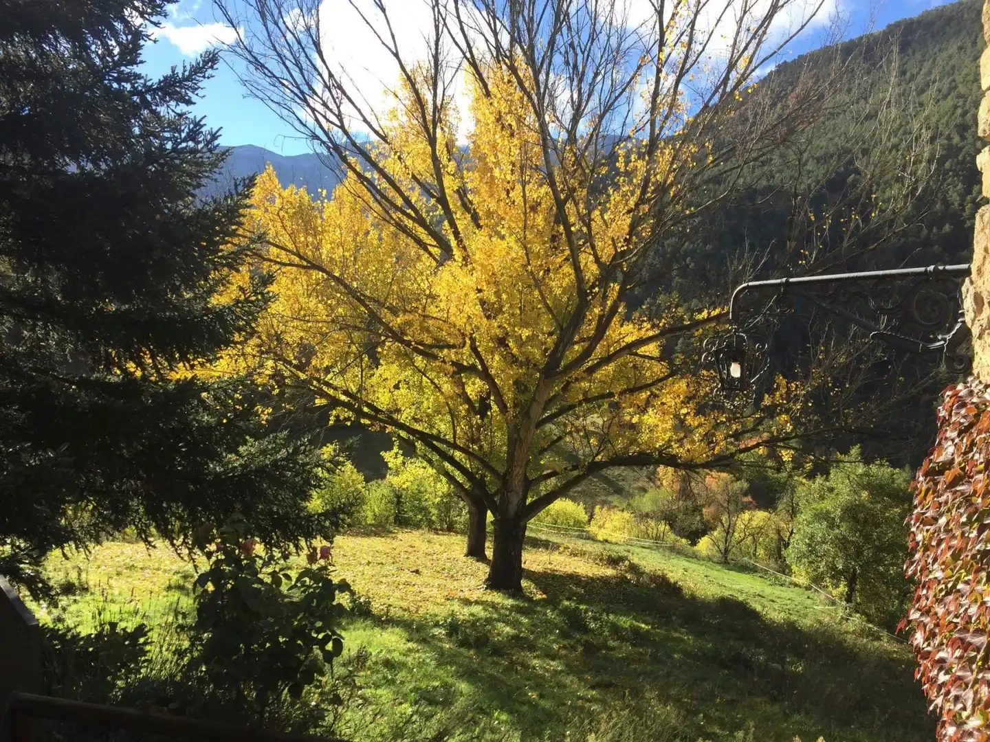 Finca rústica en venda a Arsèguel