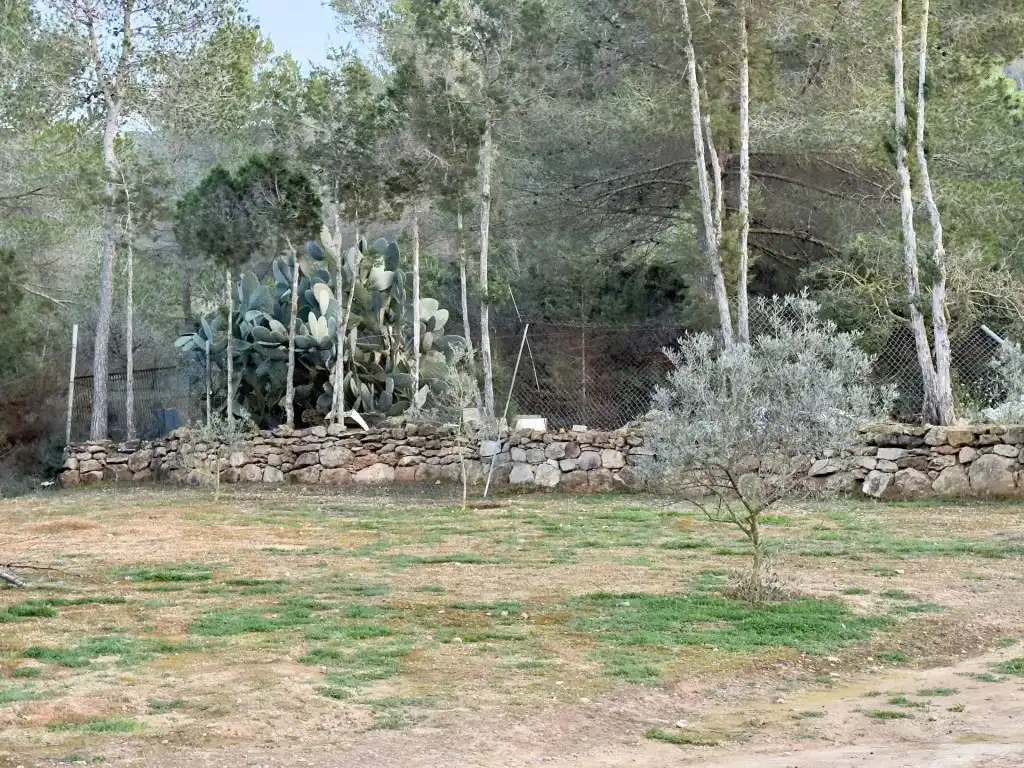 Houses for sale in Sant Josep de sa Talaia  with Private garden