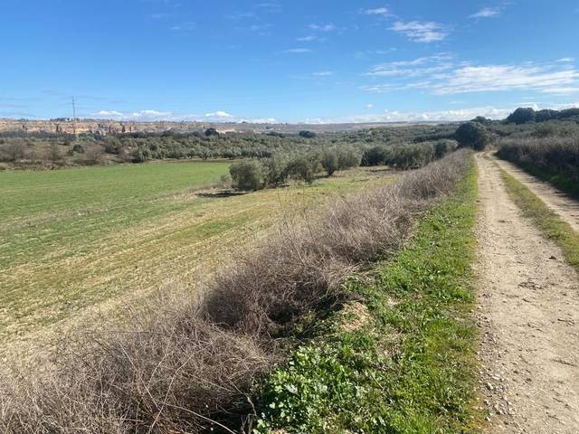 Terreno en Venta en Moraleda de Zafayona