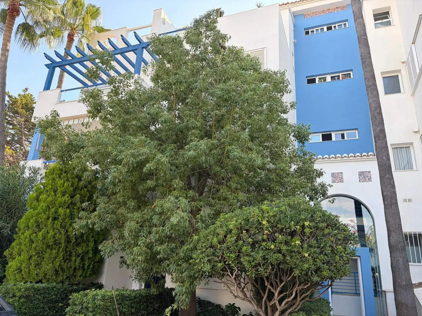 Appartement compact avec terrasse à vendre à Las Marinas / Les Marines, imagen 6