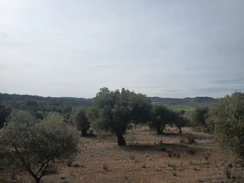 Terreno en venta en Nonaspe