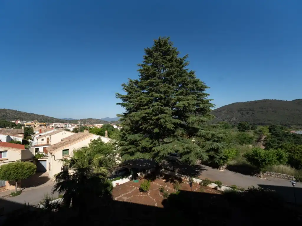Jardí de Pis en venda en Viver amb Balcó