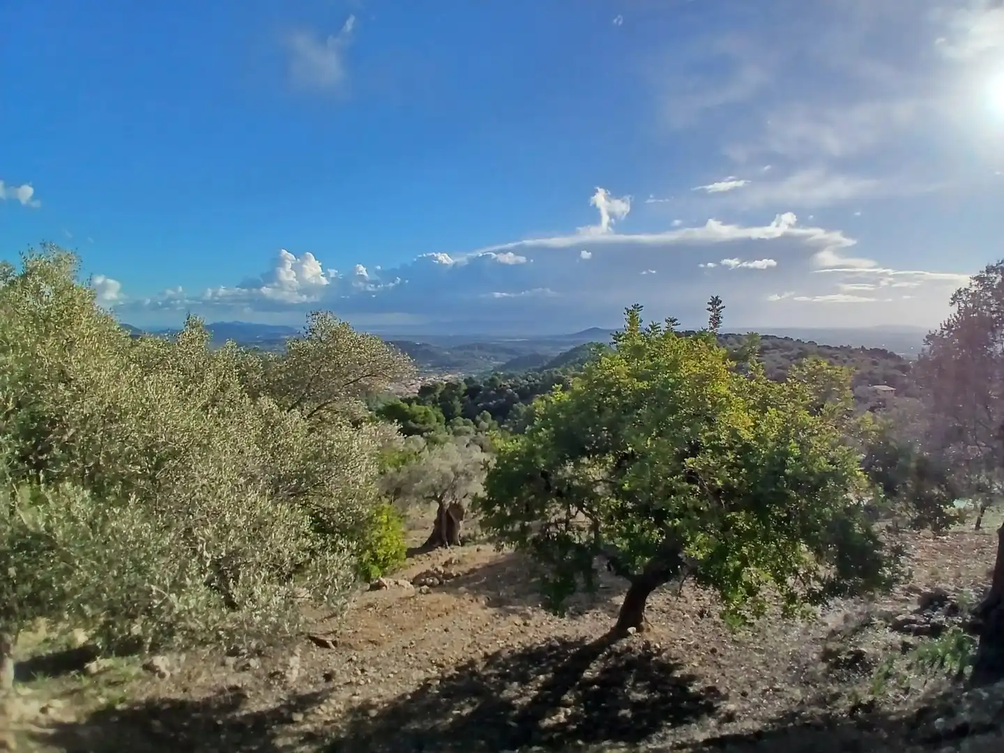 Finca rústica en venta en Mancor de la Vall