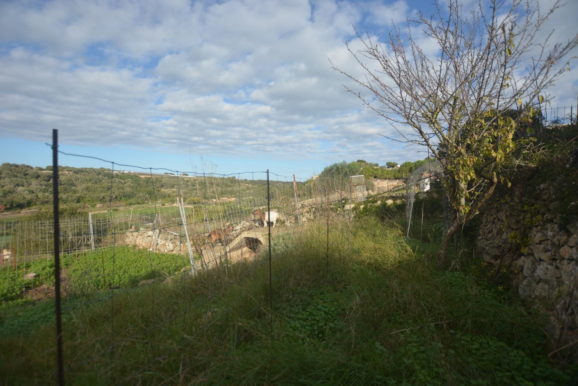 Grundstücke zum Verkauf in Es Migjorn Gran