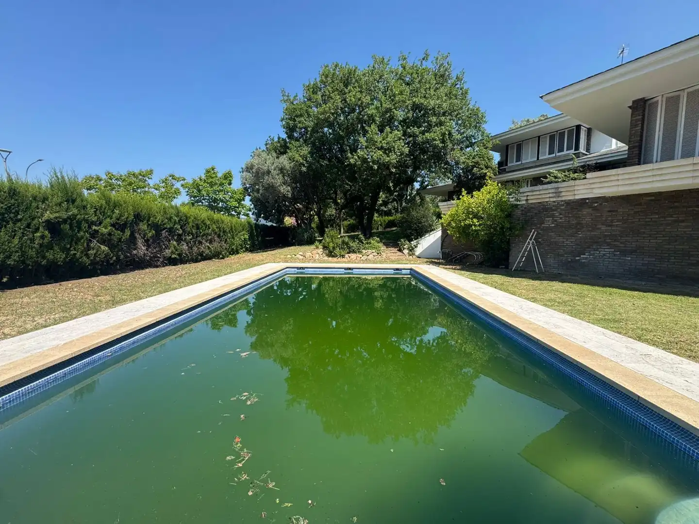Swimming pool of Houses for rent in Santa Coloma de Farners