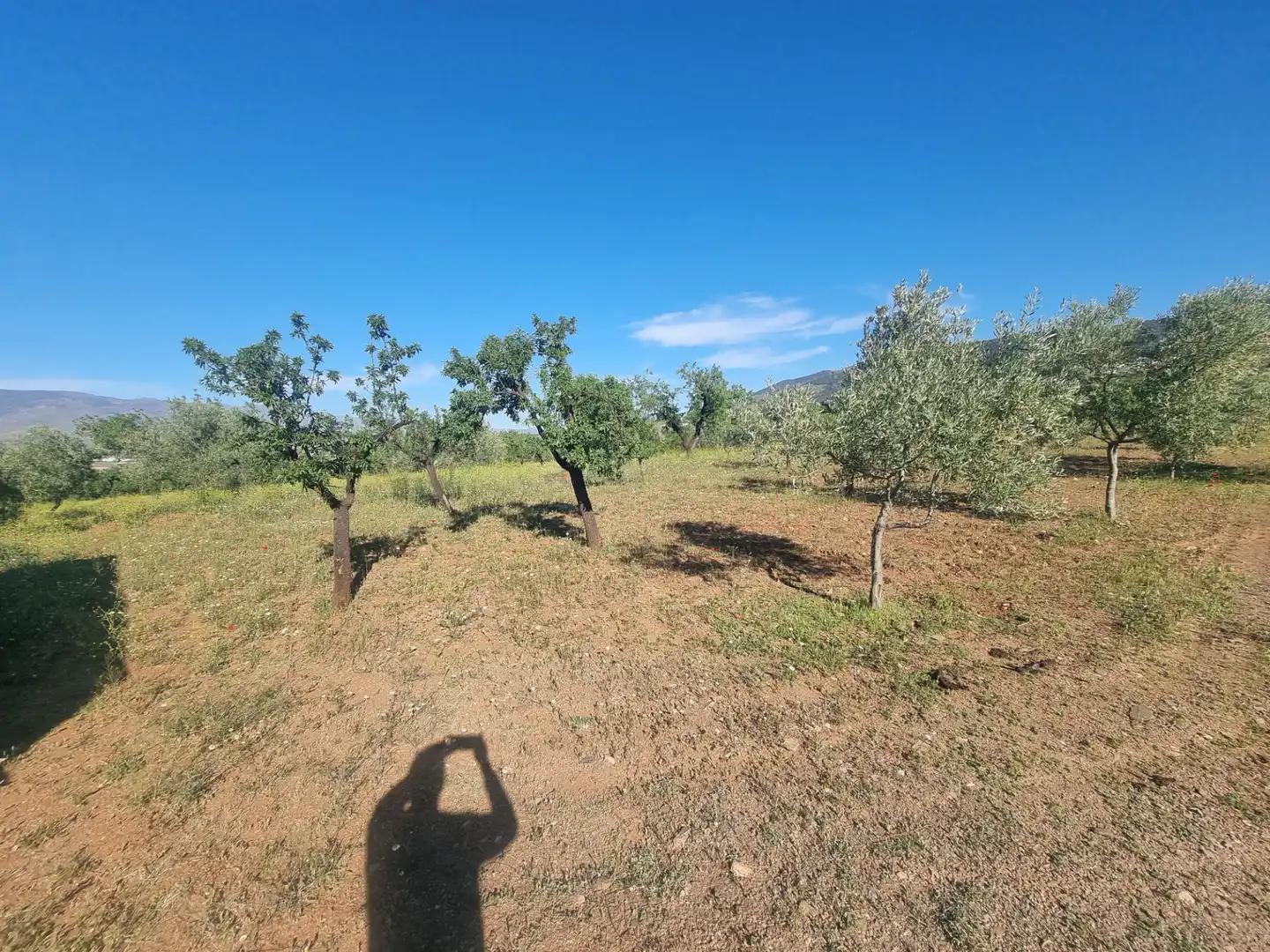 Terreno en venta en Abrucena